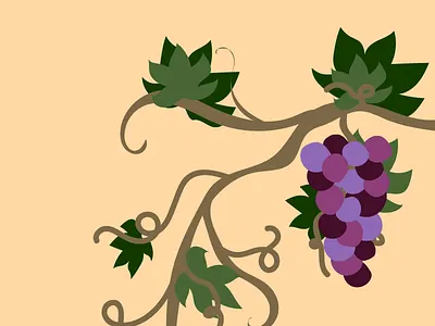 Grape drawing grape grapevine graphic illustration illustrator plant plants vector