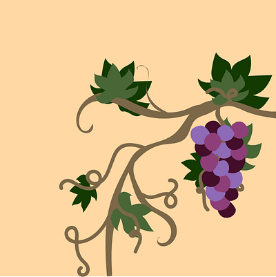 Grape drawing grape grapevine graphic illustration illustrator plant plants vector