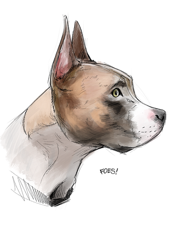 Sketch of my dog, buster 2d art art dog graphic art illustration procreate sketch