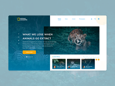 Exploration - Landing Page National Geographic brand design design national geographic national park ui ux web website