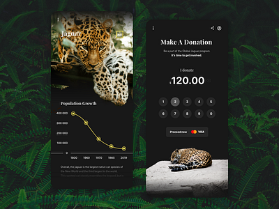 Make a donation - Mobile App app application checkout concept donation mobile national geographic ui user experience ux