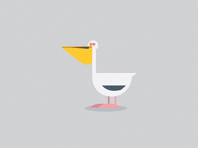 Pelican 2d ai animal bird cartoon children childrens book durban flat flat icon illustration life nature pelican vector wildlife