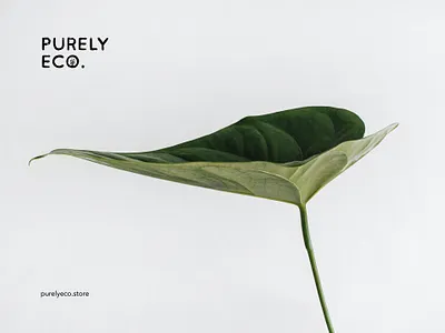 Purely Eco - Logo for an eco-friendly online store branding design ecofriendly ecologic ecology graphic graphic design illustration logo logodesign logotype mockup online shop online store sketch store logo typography vector web webstore
