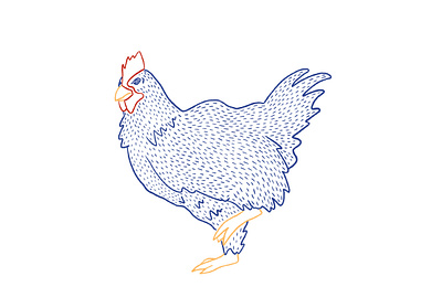 Chicken animal chicken illustration primary colors procreate