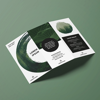 Flyer Nature Brush brochure brochure design brush creative creativity design designer flyer flyer design graphic design modern nature typography