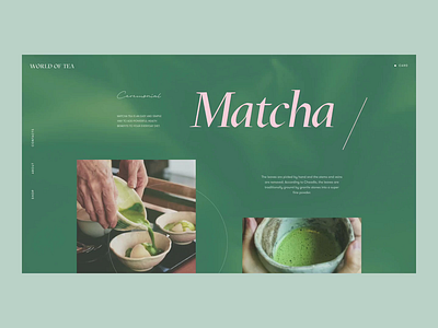 World Of Tea aftereffects animation background button concept cursor design designstudio green homepage matcha motion preloader shop tea typogaphy ui web