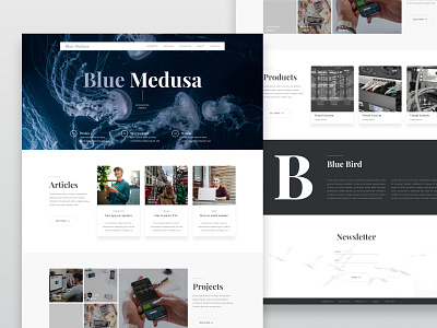 Blue Medusa design kacper landing page michalik product ui user experience user interface ux visual design