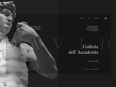 Michelangelo’s David art black body david design dribbble face gallery page ui ux