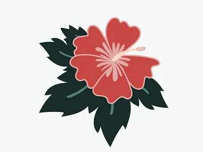 Hibiscus design drawing flower graphic hibiscus illustration illustrator plant plants vector