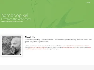 BambooPixel about bamboo folio green