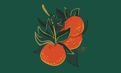 Citrus botanical digital illustration floral art procreate