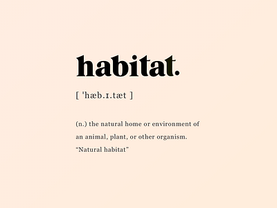 Say hello to Habitat! agency animation brand design brand identity design digital font design habitat hbtat illustration logo logo design motion product service design typogaphy ui uiux ux website design