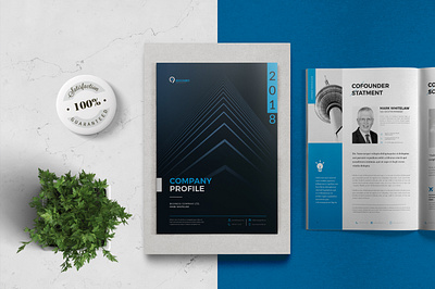 Company Profile brochure brochure design brochure template company brochure company profile indesign template report report cover report template
