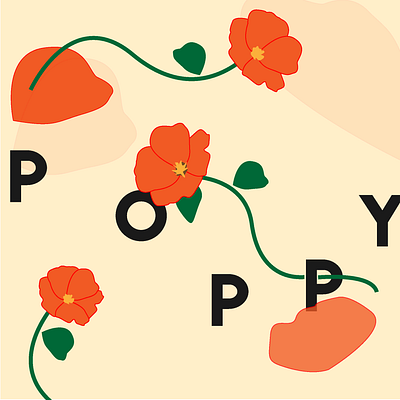Poppy Exploration floral illustration poppy typography