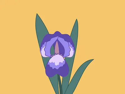 Iris design drawing flower graphic illustration illustrator iris plant plants vector