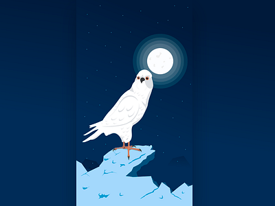 Deep night adobe illustrator affinity designer bird character darkness design illustration illustrations light moon night pencil vector