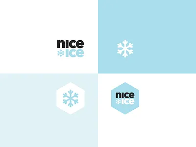 Branding for a concept ice cream company branding design ice cream icon illustration illustrator logo vector