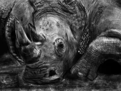 Rhino blackandwhite photoshop rhino