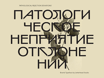 Bramb Typeface Specimen font type typeface typography