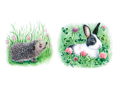 Hedgehog and rabbit animal clover cute draw drawing funny illustration pet pets rabbit watercolor watercolor art