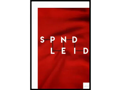 Beautiful elegant walk poster hand-designed saying "SPLENDID" adobe design poster graphic
