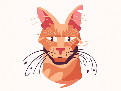 Cat character adorable art cartoon cat character cute design flat funny homeless homeless pet illustration kitten kitty lovely pet vector