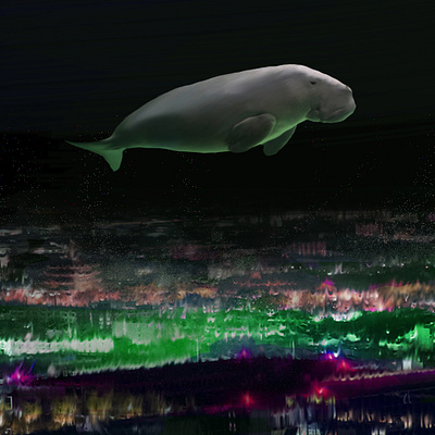 Dugong flies over japan night. animal colorfull digitalart dugong fantasy flyer illustration magic