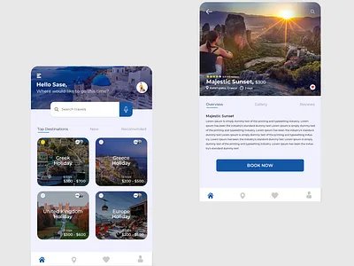 Traveling Tour adobe illustrator adobe photoshop buttons clean clean ui icons typography