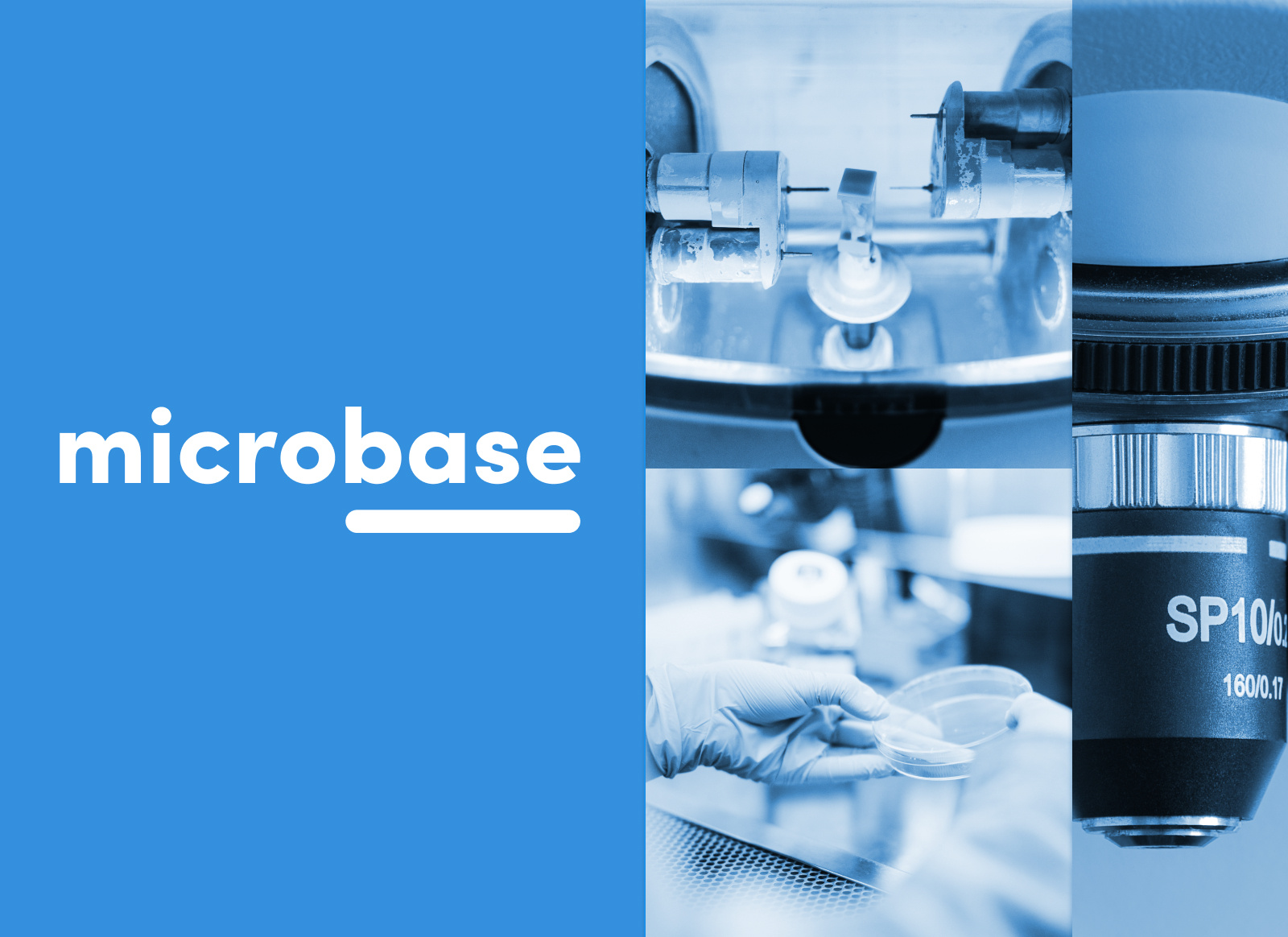 microbase - Branding exploration by Sofia Jacobs on Dribbble