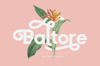 Baltore Font branding design display font font font design fonts graphic design graphics lettering logo logo fonts retro retro font typeface typefaces typography vintage vintage font vintage logo vintage typeface