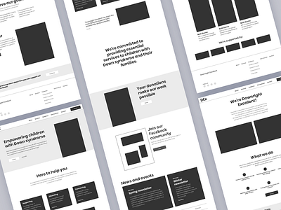 Downright Excellent Site charity ux website wireframe