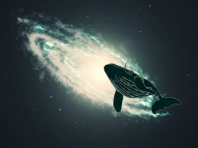 Alien Whale 3d animation after effect after effects animation animation 2d astrophysics motion design motion graphic motion graphics science