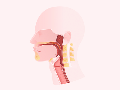 Oral Cancer Medical Illustration application ear eyes gradient head health healthcare illustration man medical mouth nose organ people throat