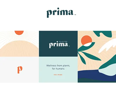 Prima branding identity illustration