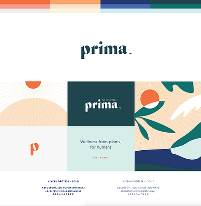 Prima branding identity illustration