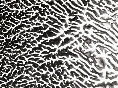 Silver experiments [3] argentic argentique black and white desin experimental farjas felix graphic design photography silver