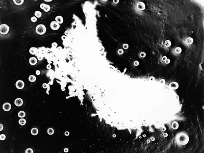 Silver experiments [4] argentic argentique black and white desin experimental farjas felix graphic design photography silver