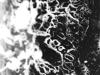 Silver experiments [5] argentic argentique black and white desin experimental farjas felix graphic design photography silver