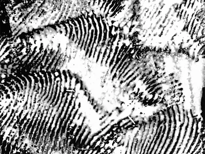 Silver experiments [2] argentic argentique black and white experimental farjas félix graphic design photography silver