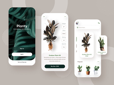 Plant Shop agency application appsdesign branding card carddesign e commerce flat design food icon minimal mobile plantapp plantshop product sass typography ux vector web