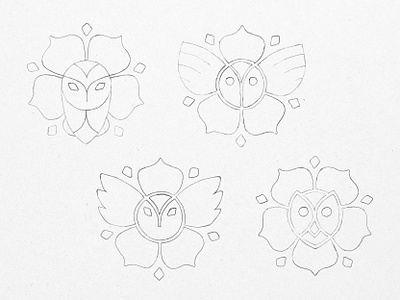 Grad College Logo Sketches bird concept flower logo owl pencil petals rose sketch