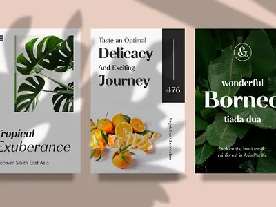 Rossanova - Elegant Fonts best fonts branding classic font classic typeface design display fonts elegant font elegant fonts font font design fonts graphic design lettering logo fonts retro font serif font typeface typefaces typography vintage font