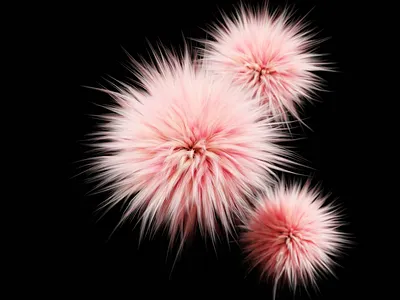 Fuzzball 3d 3d art 3d artist 3drender 3drendering blender blender 3d blender3d blender3dart design fur furry graphic design graphicdesign hair minimal pink render rendered renders