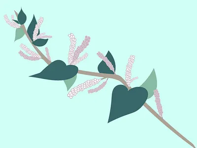 Knotweed design drawing flower flowers graphic illustration illustrator knotweed plant plants vector