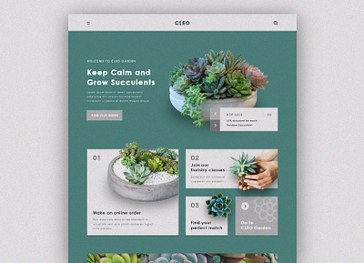 CLEO, Succulent Garden House cactus color design flower garden graphic design green grey landing page plant succulent ui user experience user interface ux web web design website