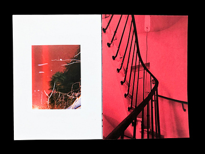 PARIS — BEYROUTH beirut book design editorial editorial design editorial layout graphic design layout layout design minimal paris photo photographer photography