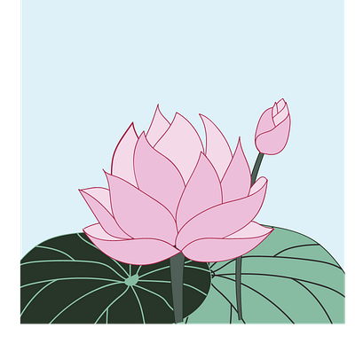 Lotus design drawing flower flowers graphic illustration illustrator lotus lotus flower plant plants vector