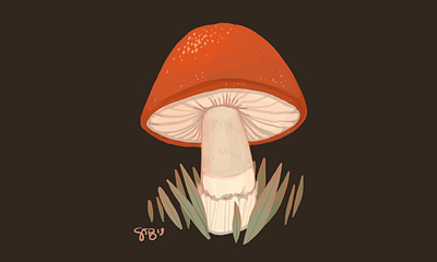 Lil' Shroomer botanical cute drawing digital illustration fungus illustration mushroom procreate