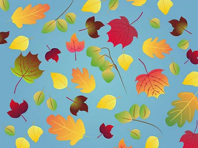 November leaves leaves november fall autumn