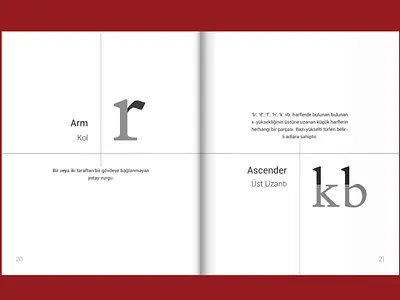 Typographic Terminology Book Design Arrangement book book arrangement book content book cover book design cover design reading red cover terminology type typographic typography typography design